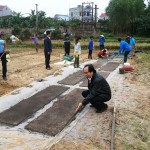 Sản xuất nông nghiệp Vụ xuân 2015 ở phía Bắc-Những vấn đề cần lưu ý