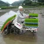 Máy cấy lúa siêu đẳng của Nhật Bản